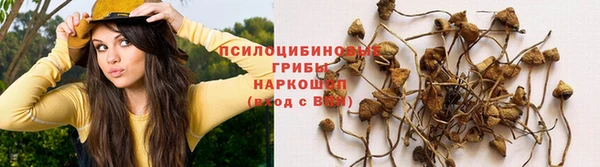 COCAINE Сосновый Бор