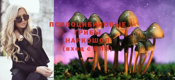 дурь Лиски