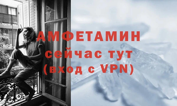 прущие грибы Ладушкин