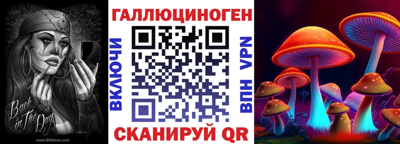 купить наркотик Грозный Галлюциногенные грибы мицелий