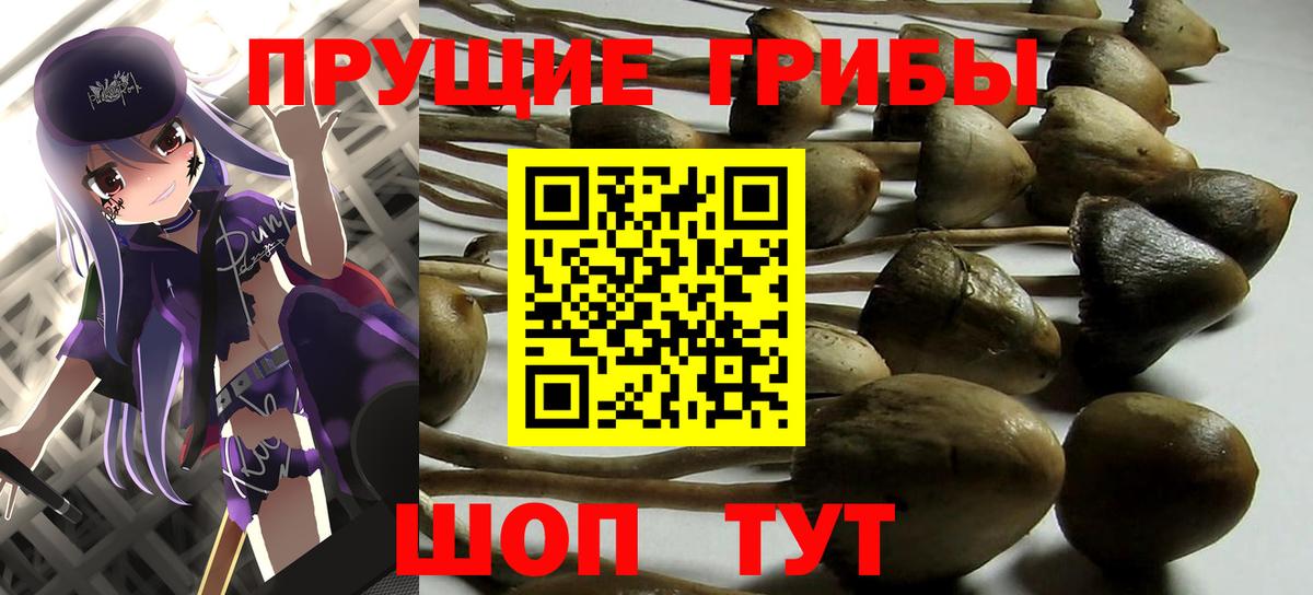 Галлюциногенные грибы прущие грибы Грозный