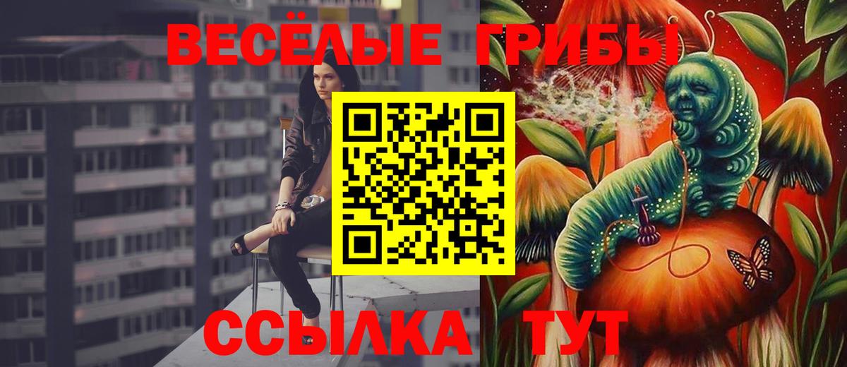 Псилоцибиновые грибы Cubensis  Вход с VPN  Грозный 