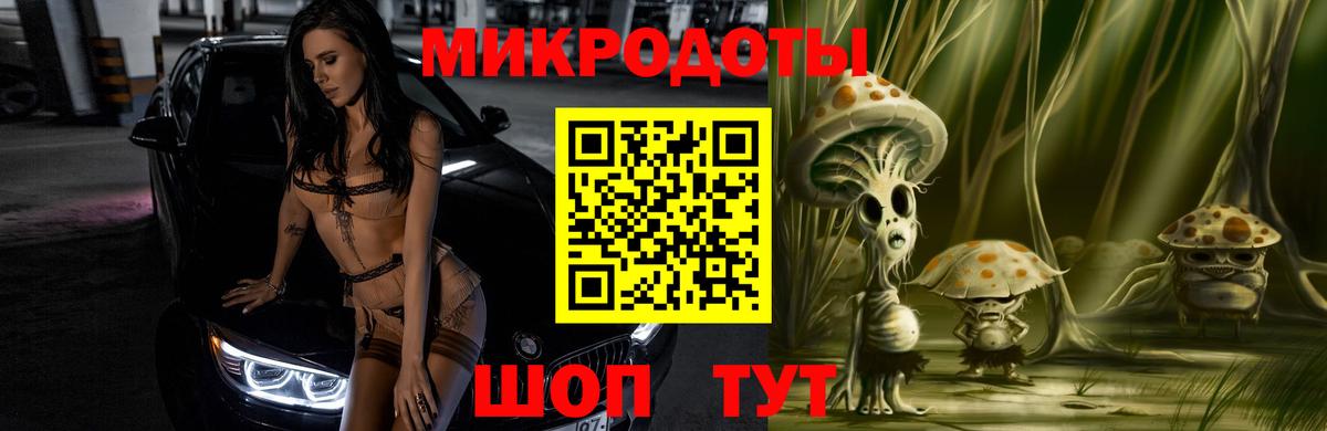 Галлюциногенные грибы Cubensis Грозный