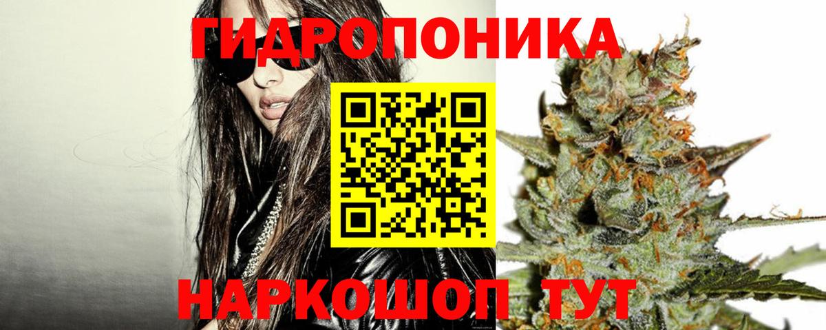 МАРИХУАНА Amnesia Грозный